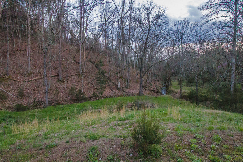 Sevier County Line Road Kodak, TN 37764 - Photo 1 of 27 IMG_6715-1