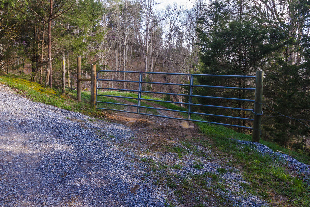 Sevier County Line Road Kodak, TN 37764 - Photo 2 of 27 IMG_6759-1