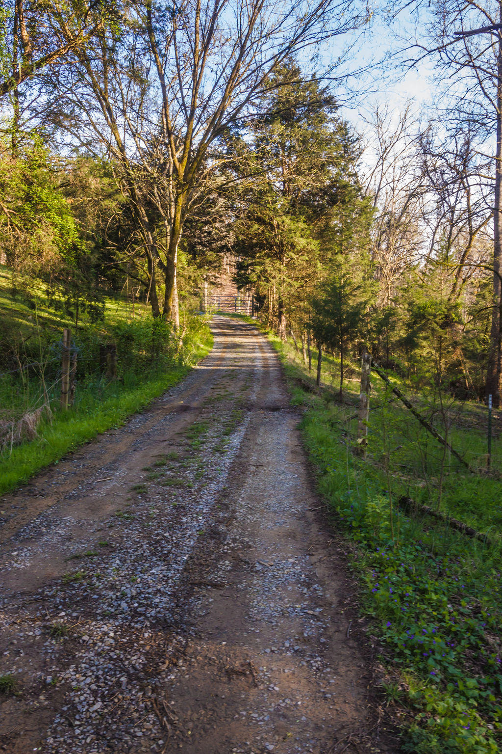 Sevier County Line Road Kodak, TN 37764 - Photo 27 of 27 IMG_6909-32