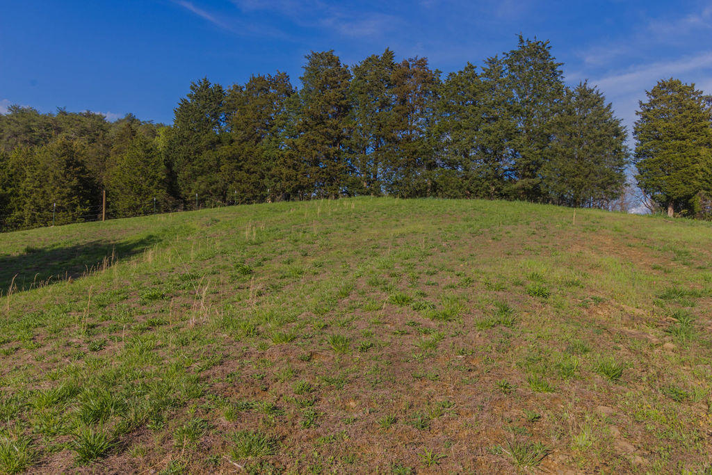 Sevier County Line Road Kodak, TN 37764 - Photo 5 of 27 IMG_6774-5