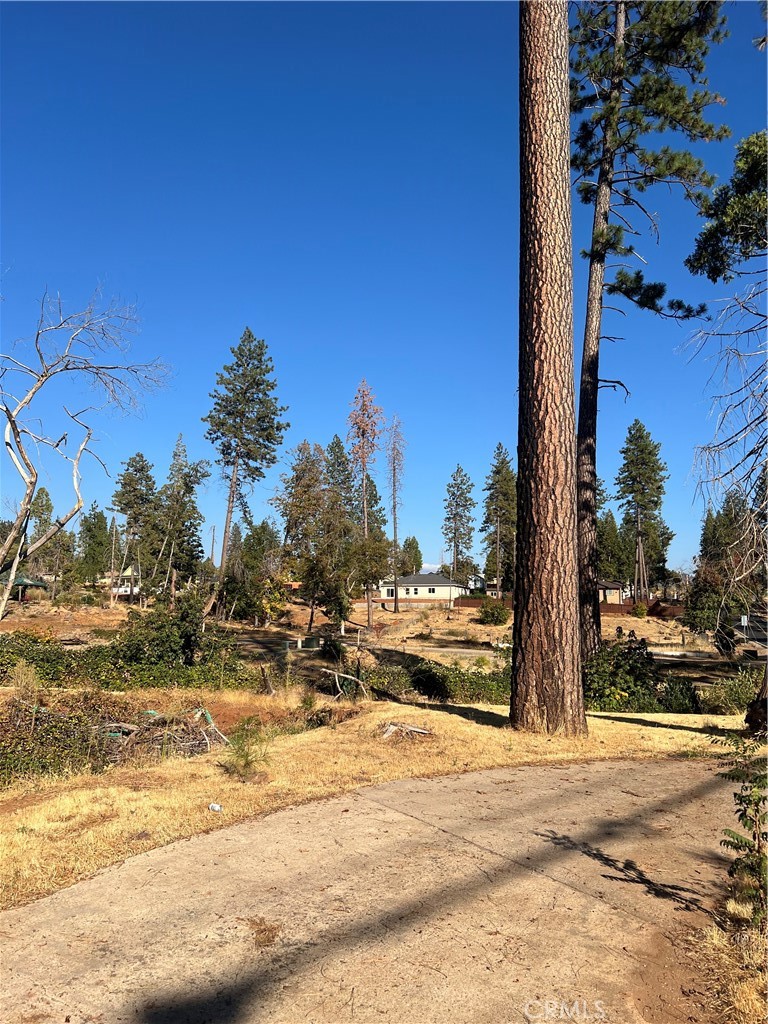 1579 Wagstaff Road Paradise, CA 95969 - Photo 10 of 11 a view of a yard with a house