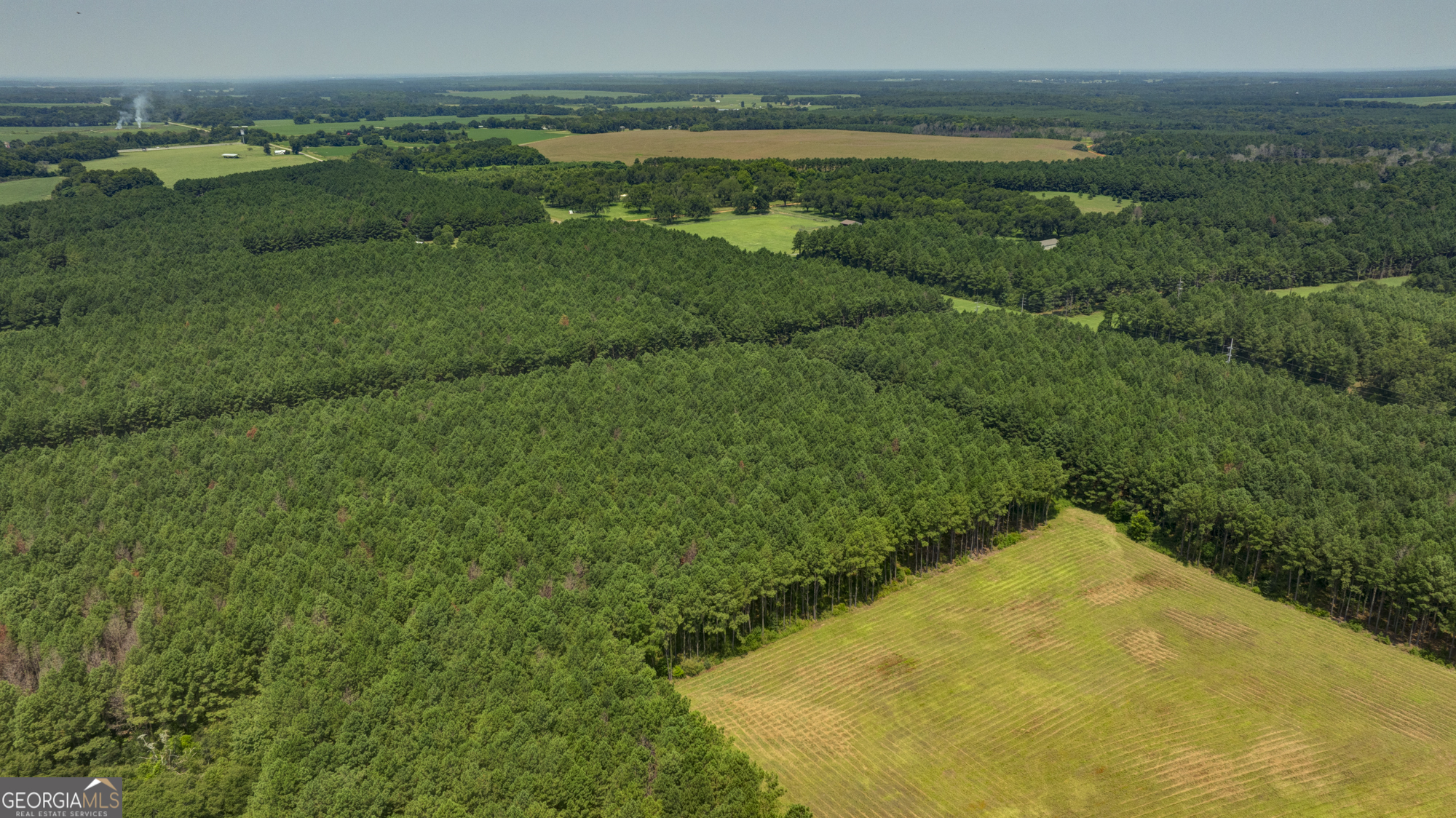0 Northern County Line Road Unadilla, GA 31091 - Photo 4 of 6 Gallery Image 4
