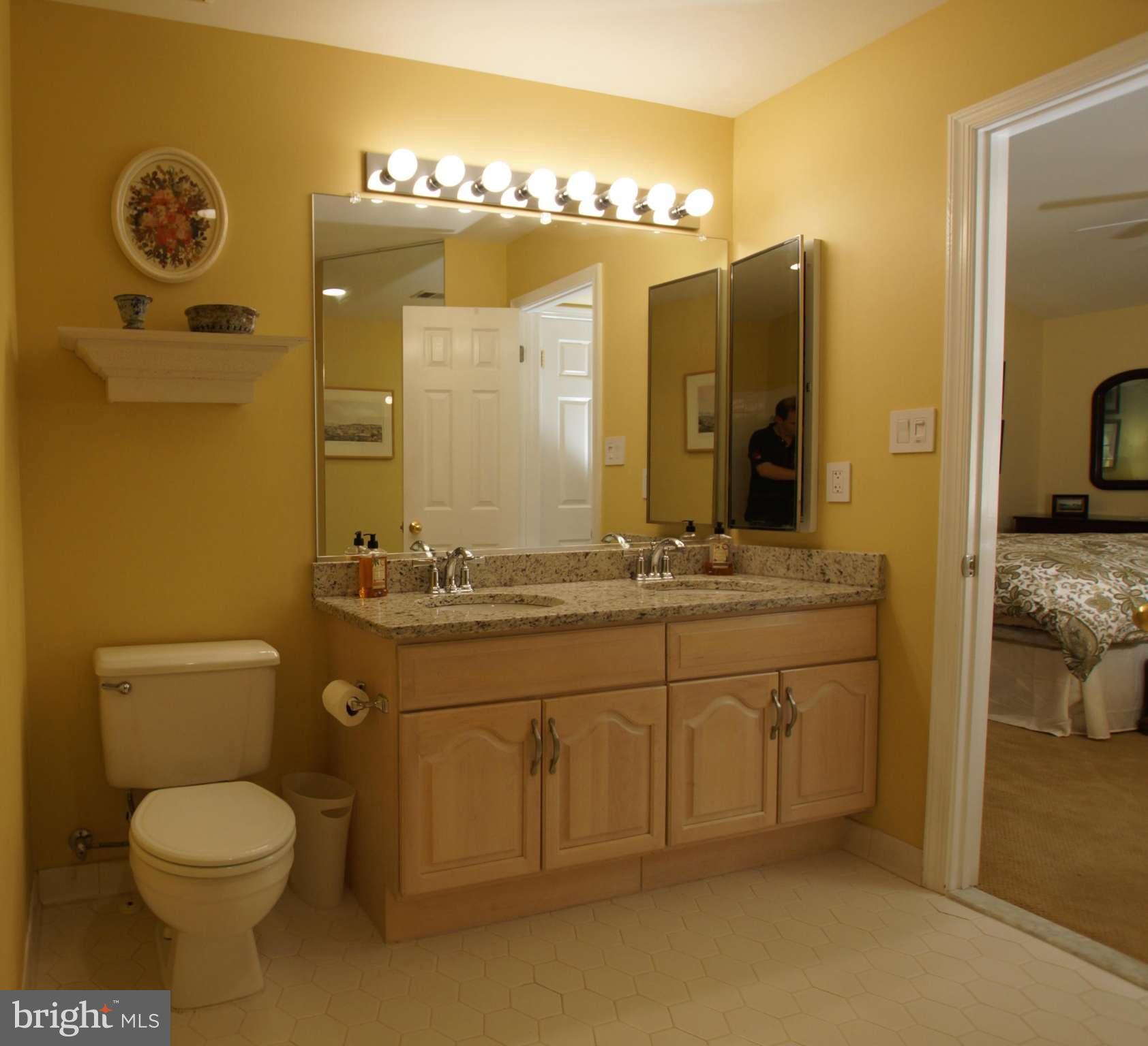 1419 Church Hill Place Reston, VA 20194 - Photo 6 of 12 Bath (Master)