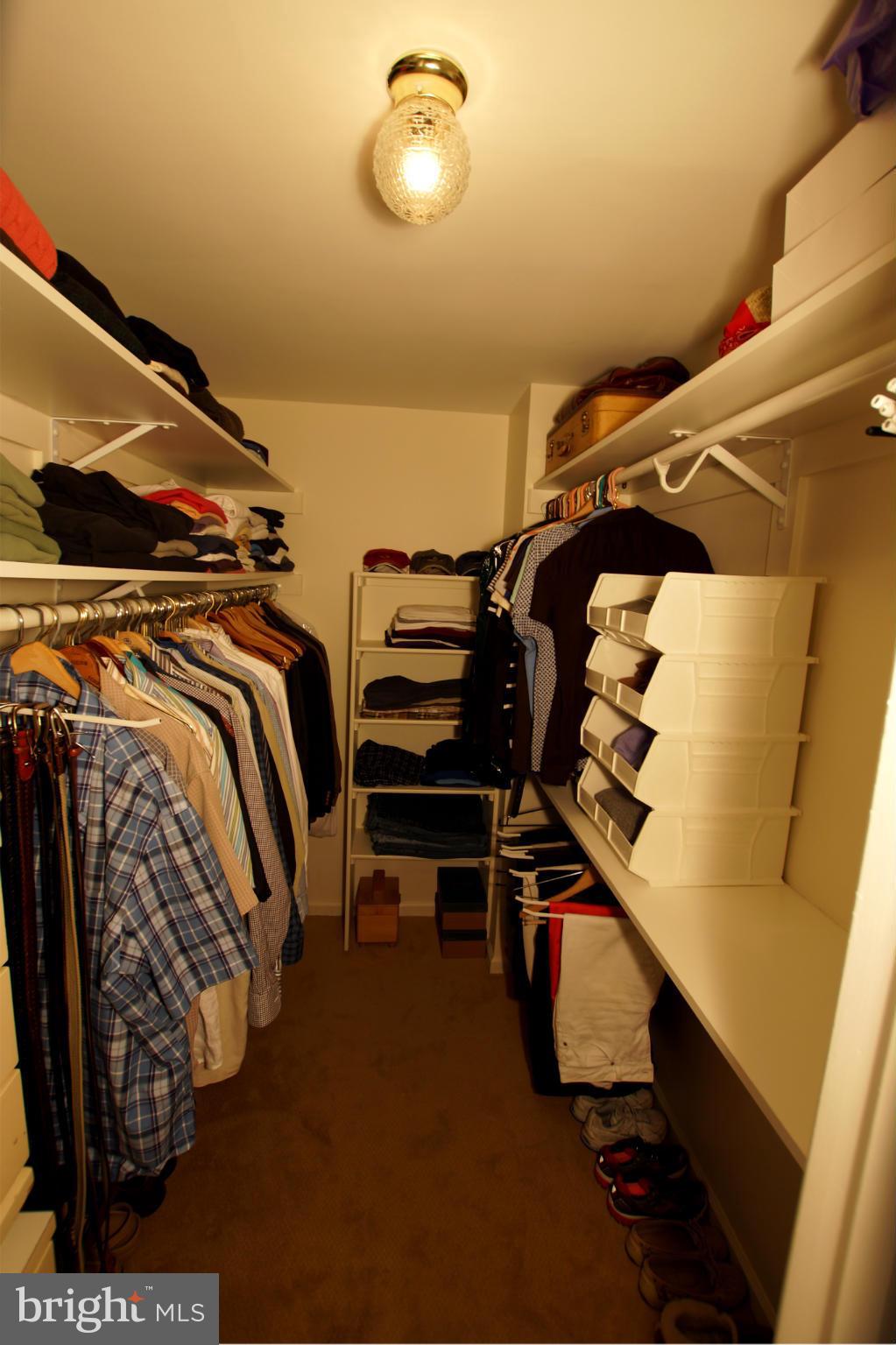 1419 Church Hill Place Reston, VA 20194 - Photo 7 of 12 Master Bedroom - Walk In Closet