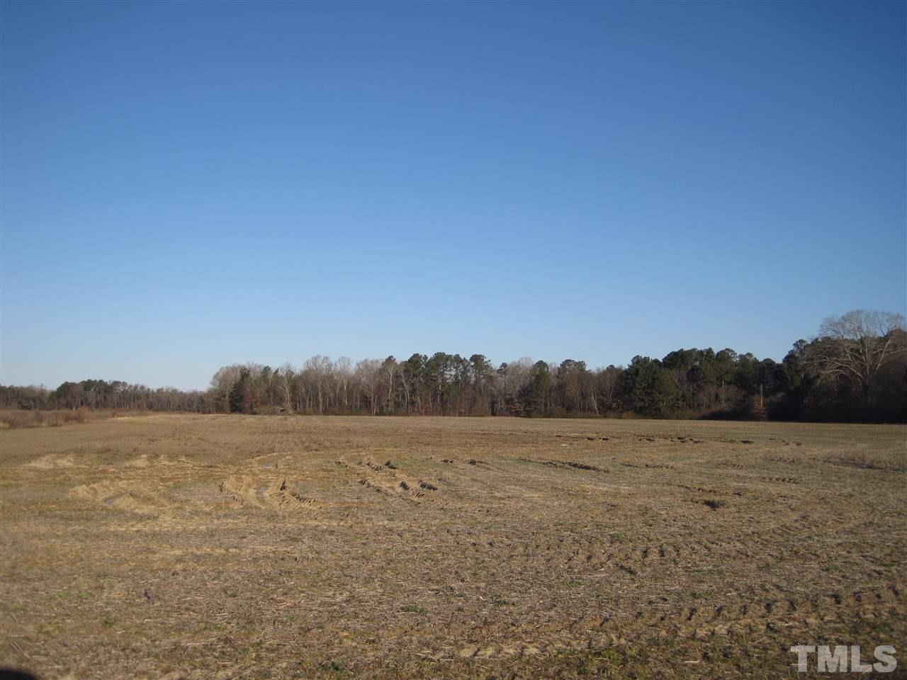 0 Suggs Road Dunn, NC 28334 - Photo 3 of 3 Gallery Image 3