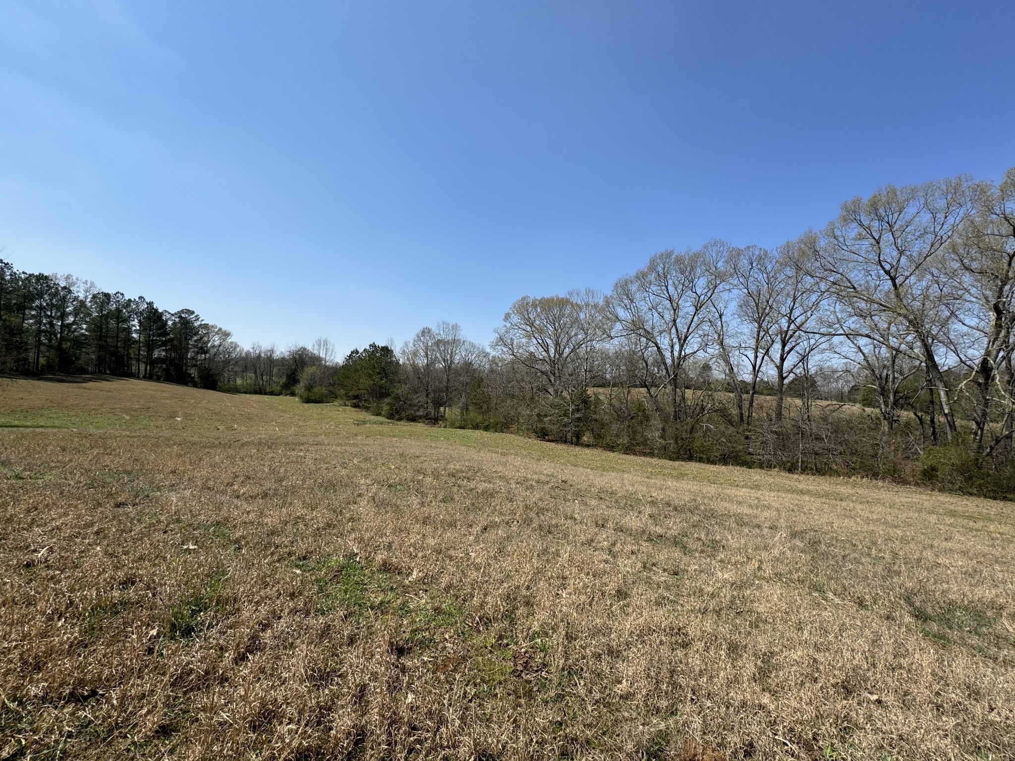 0 Old Ferry Road Bath Springs, TN 38311 - Photo 54 of 63 Gallery Image 54