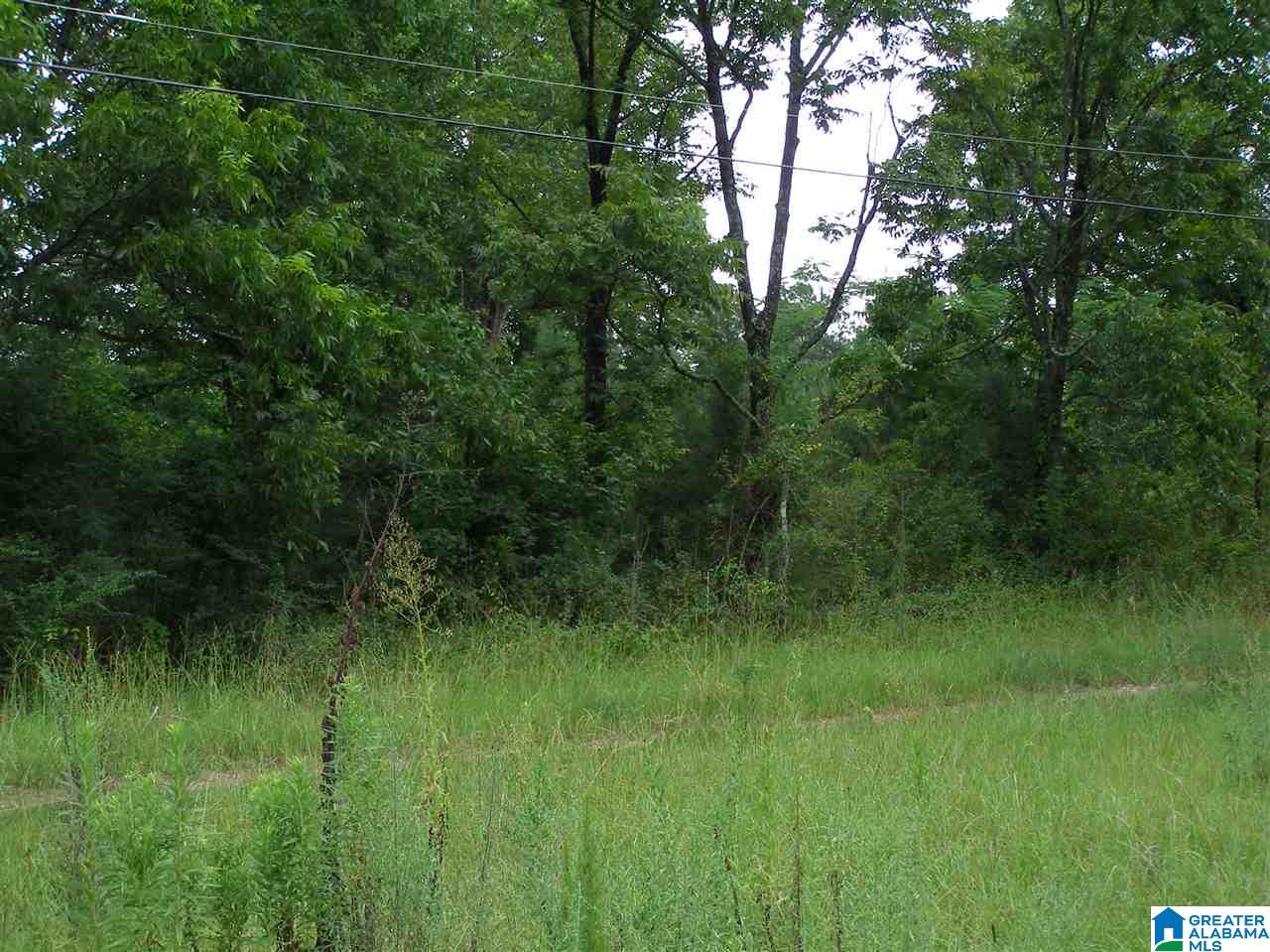 9451 Tingle Cut Off Road, Unit 7 ACRES Dora, AL 35062 - Photo 6 of 27
