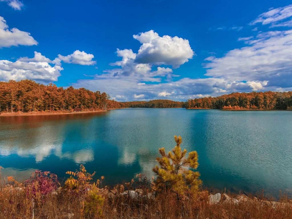 200 Lakeside Place Canton, GA 30114 - Photo 38 of 38 a view of a lake with a city