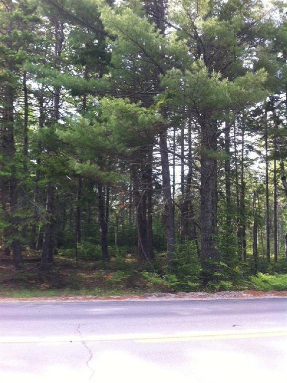 0 Pretty Marsh Road Mount Desert, ME 04660 - Photo 5 of 5 Photo
