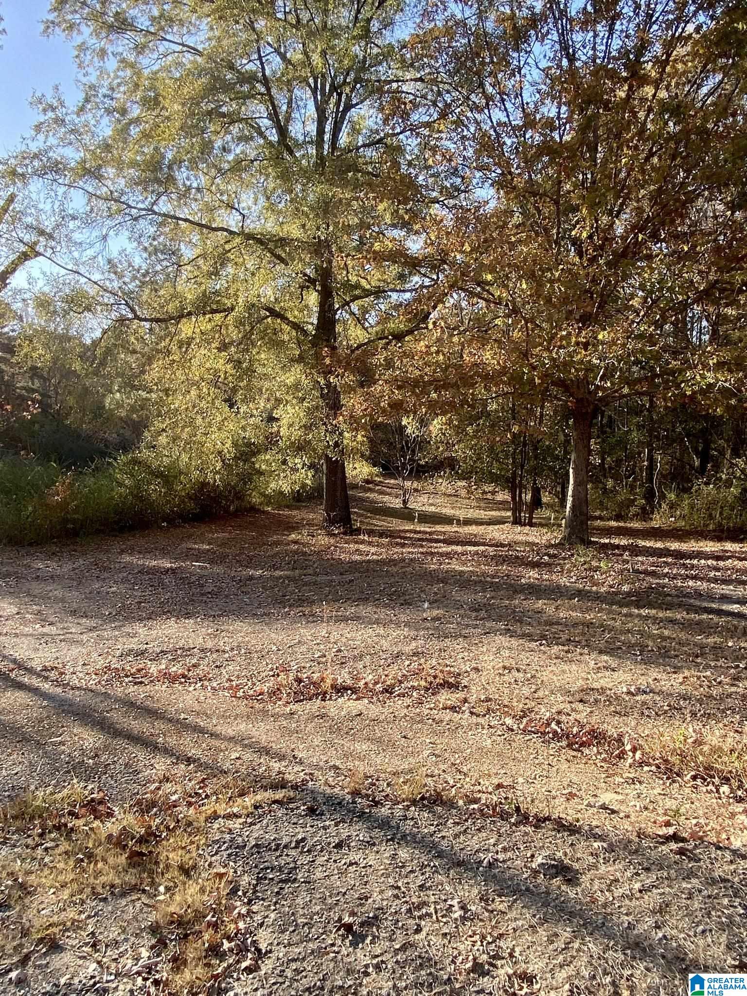 2164 Florida Road Pell City, AL 35125 - Photo 4 of 36