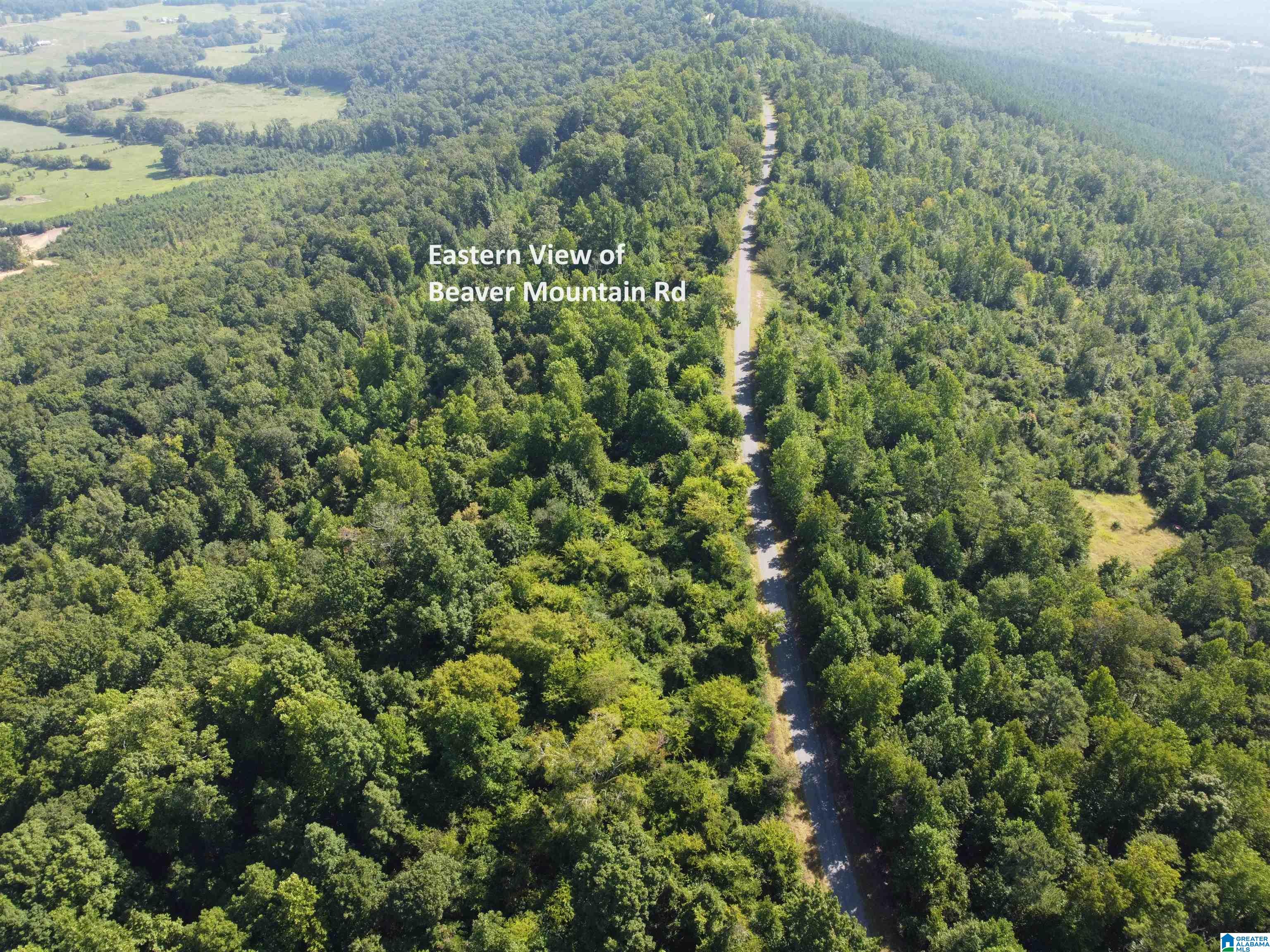 0 Beaver Mountain Road Ashville, AL 35953 - Photo 3 of 40