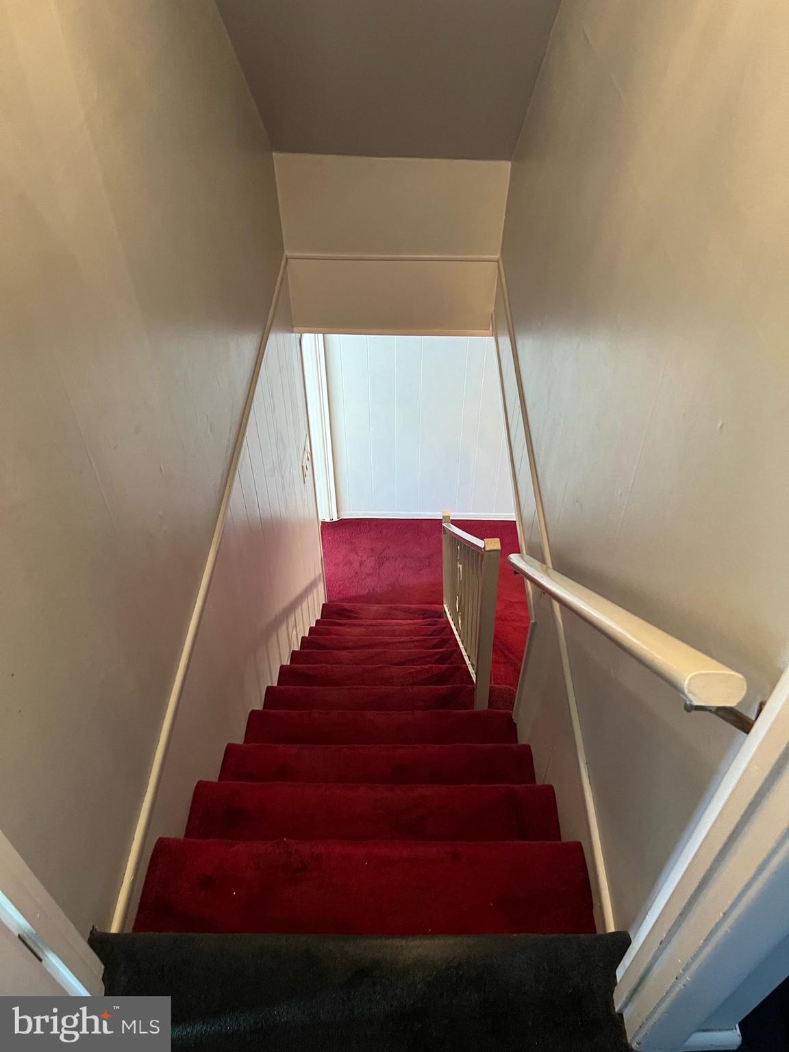 11818 Basile Road Philadelphia, PA 19154 - Photo 13 of 17 Stairs Leading to basement