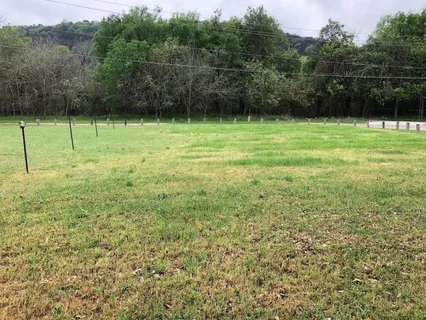 a view of a field with a tree