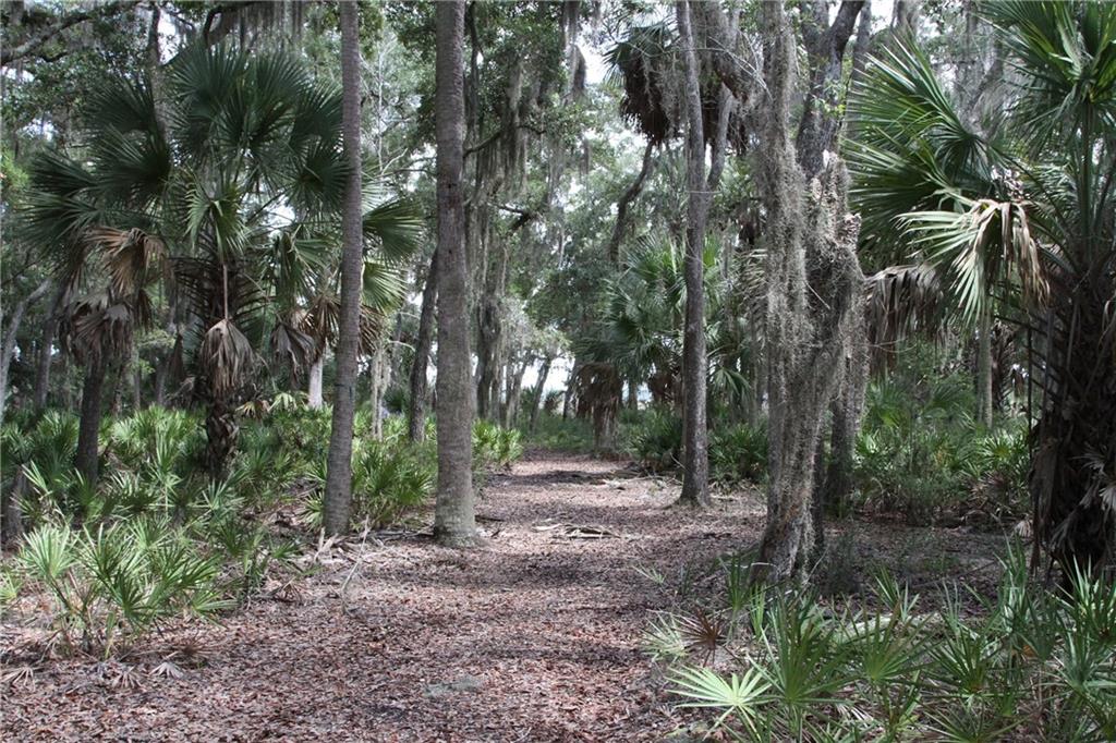 0 Iron Safe Road Brunswick, GA 31523 - Photo 13 of 26 a view of outdoor space and trees