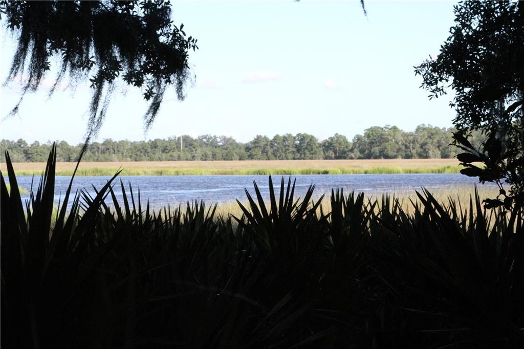 0 Iron Safe Road Brunswick, GA 31523 - Photo 15 of 26 a lake view with a lake view