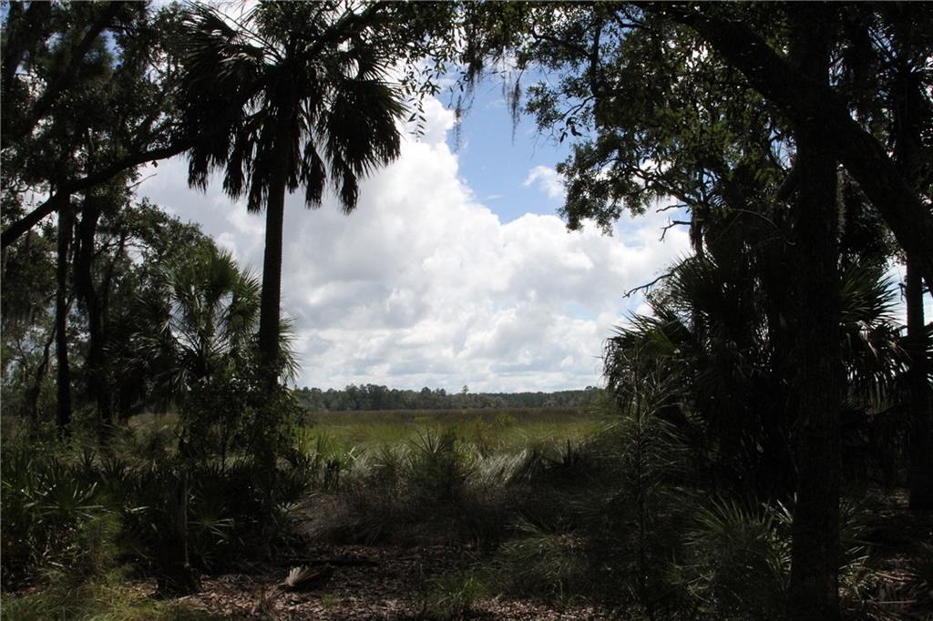 0 Iron Safe Road Brunswick, GA 31523 - Photo 16 of 26 a view of a lake