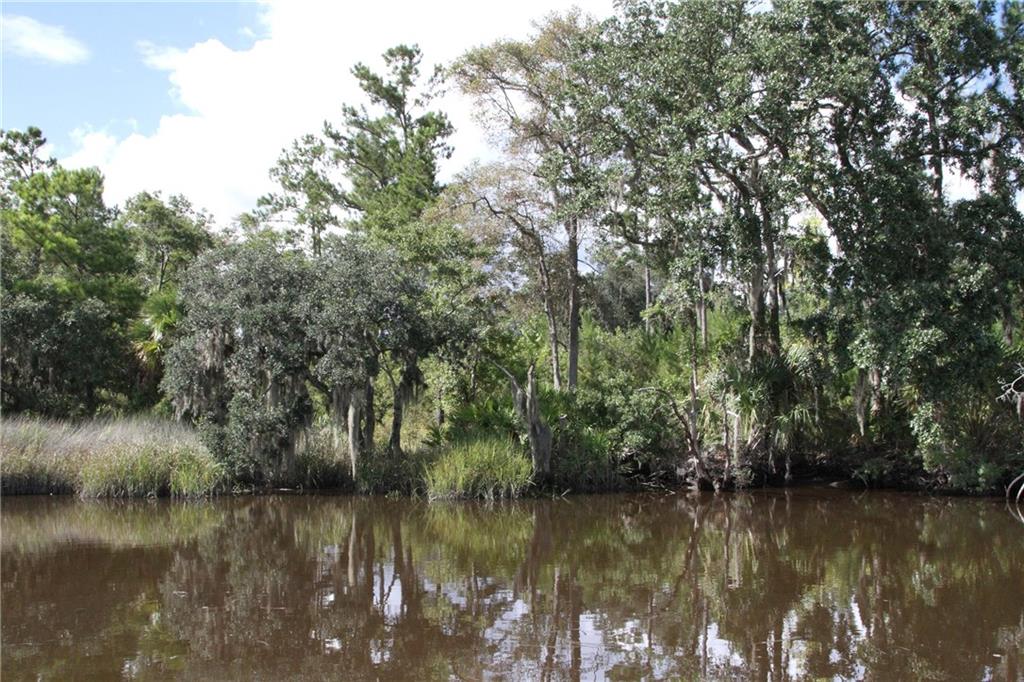 0 Iron Safe Road Brunswick, GA 31523 - Photo 21 of 26