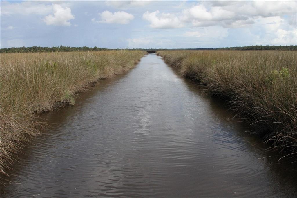 0 Iron Safe Road Brunswick, GA 31523 - Photo 22 of 26 a view of outside space and a lake view