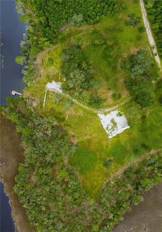 0 Iron Safe Road Brunswick, GA 31523 - Photo 7 of 26 a close up of a plant