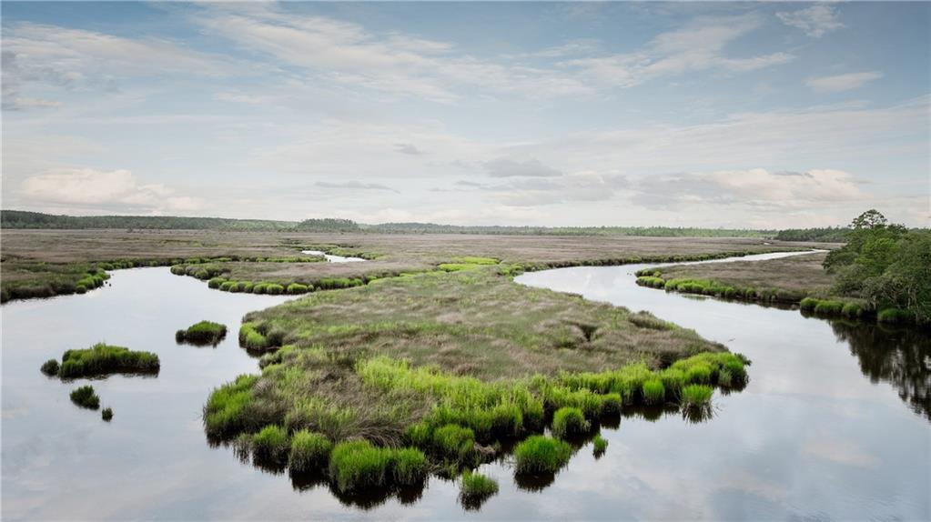 0 Iron Safe Road Brunswick, GA 31523 - Photo 9 of 26 a view of a lake with a mountain in the background