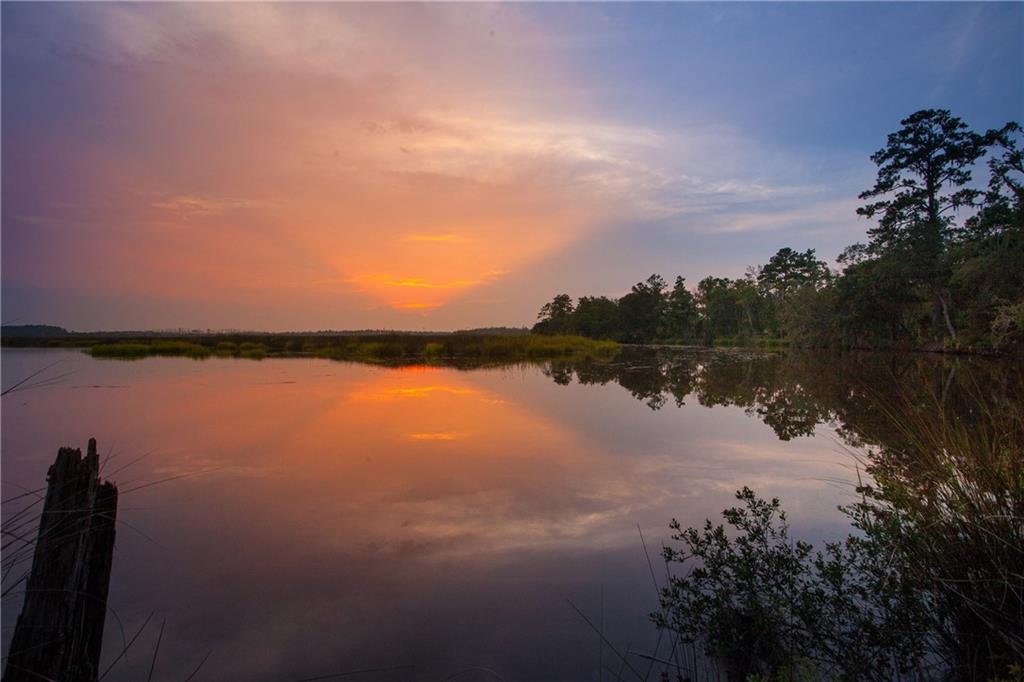 0 Iron Safe Road Brunswick, GA 31523 - Photo 10 of 26 a view of lake