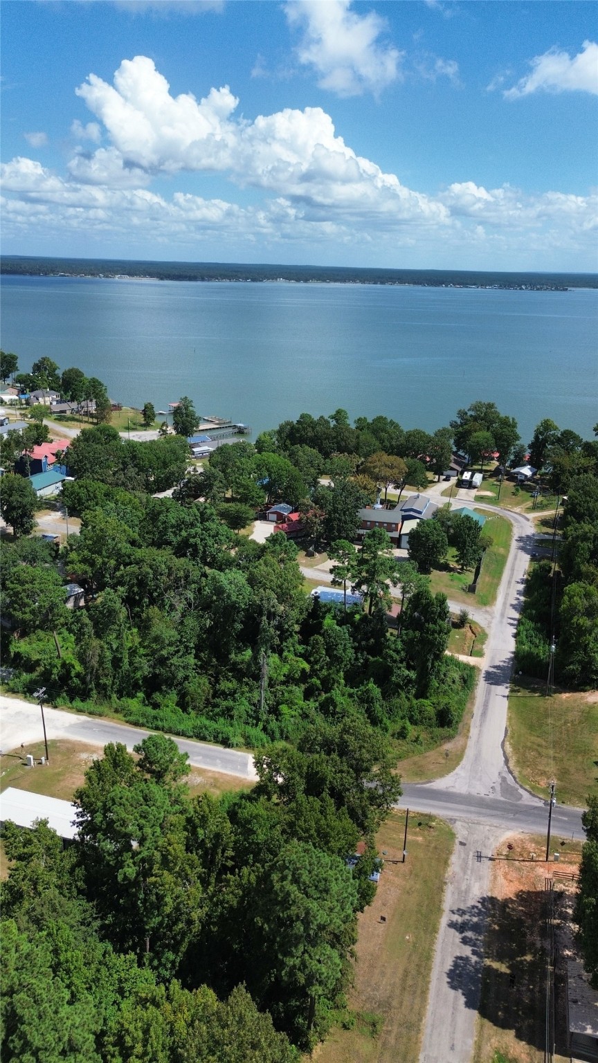 0 Roatan Drive Point Blank, TX 77364 - Photo 15 of 26 a view of a lake with a yard and mountain view