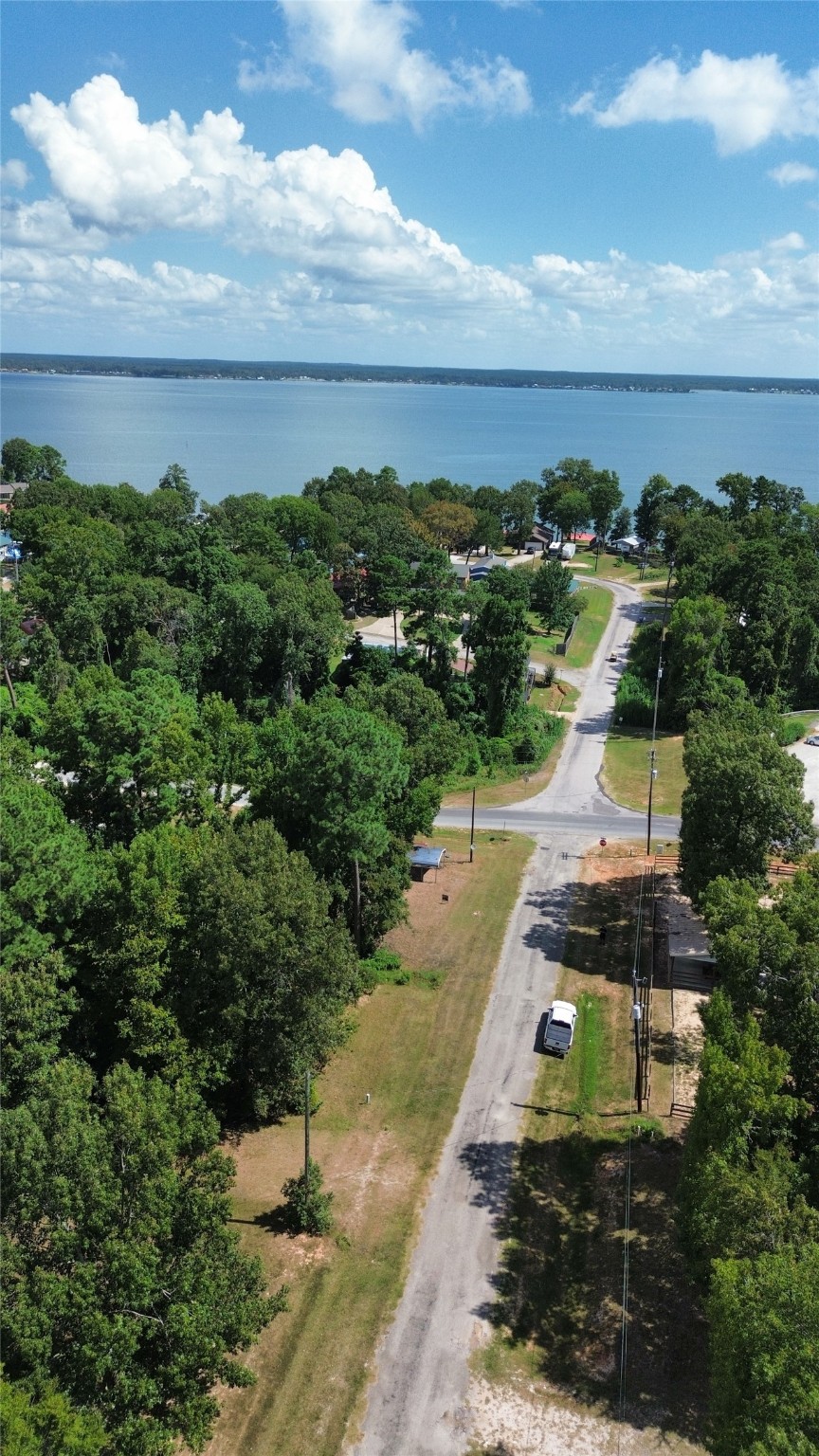 0 Roatan Drive Point Blank, TX 77364 - Photo 19 of 26 a view of a yard and outside space