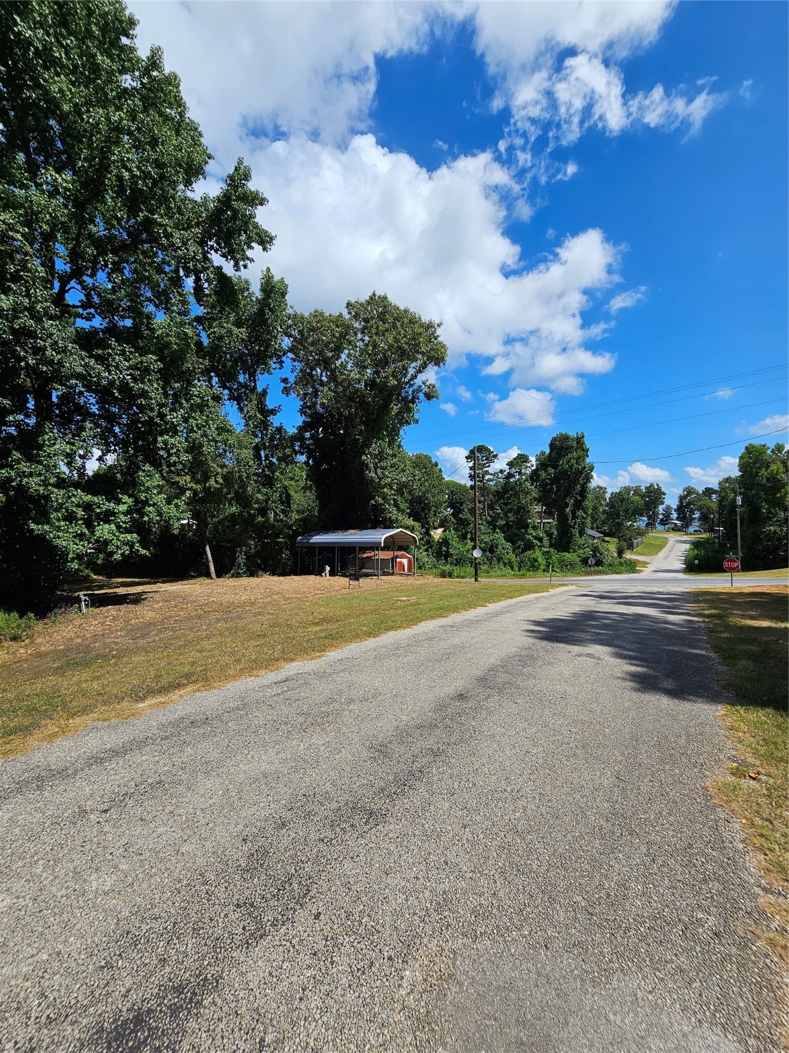 0 Roatan Drive Point Blank, TX 77364 - Photo 2 of 26