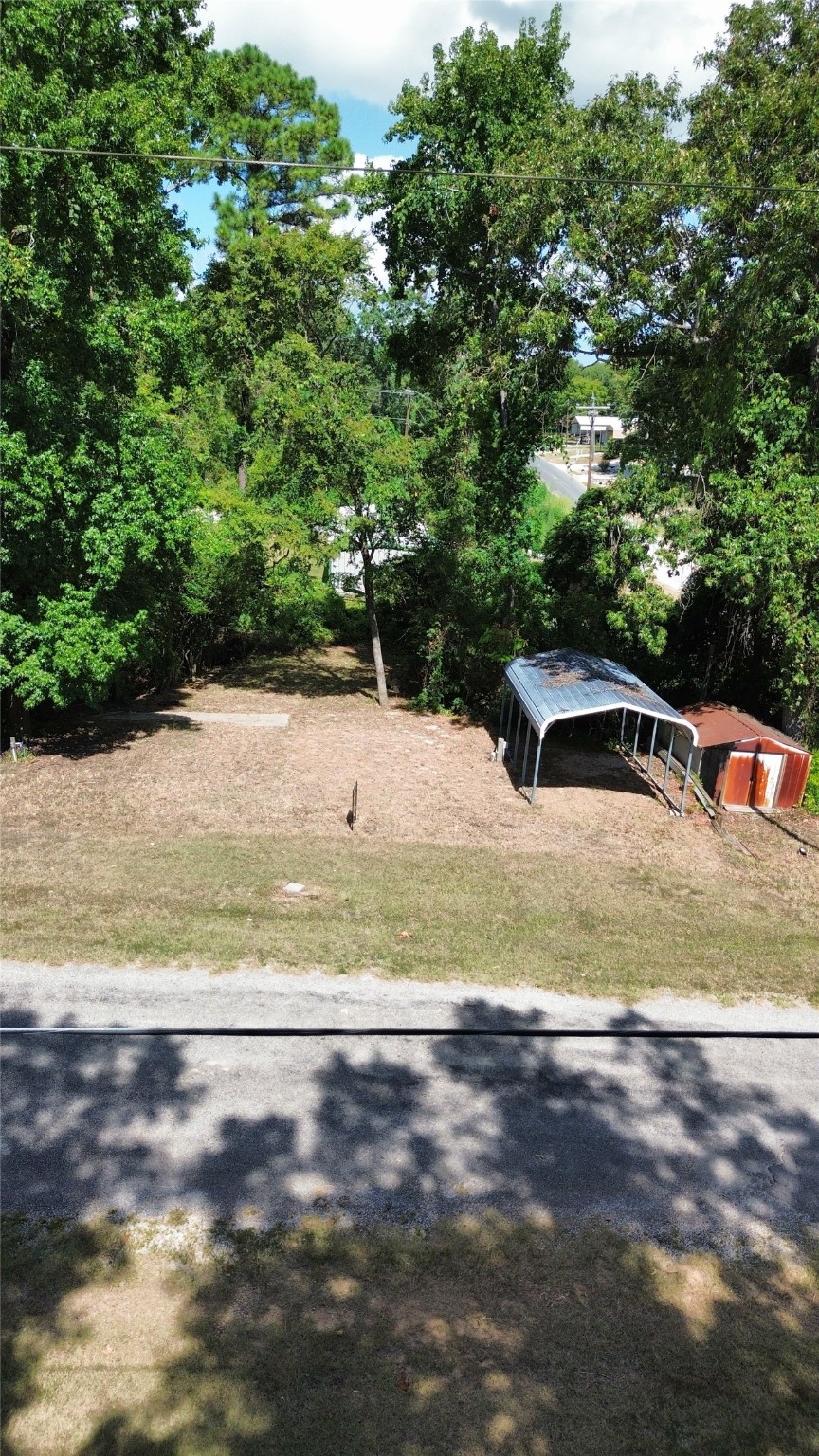 0 Roatan Drive Point Blank, TX 77364 - Photo 6 of 26 a view of yard with large trees