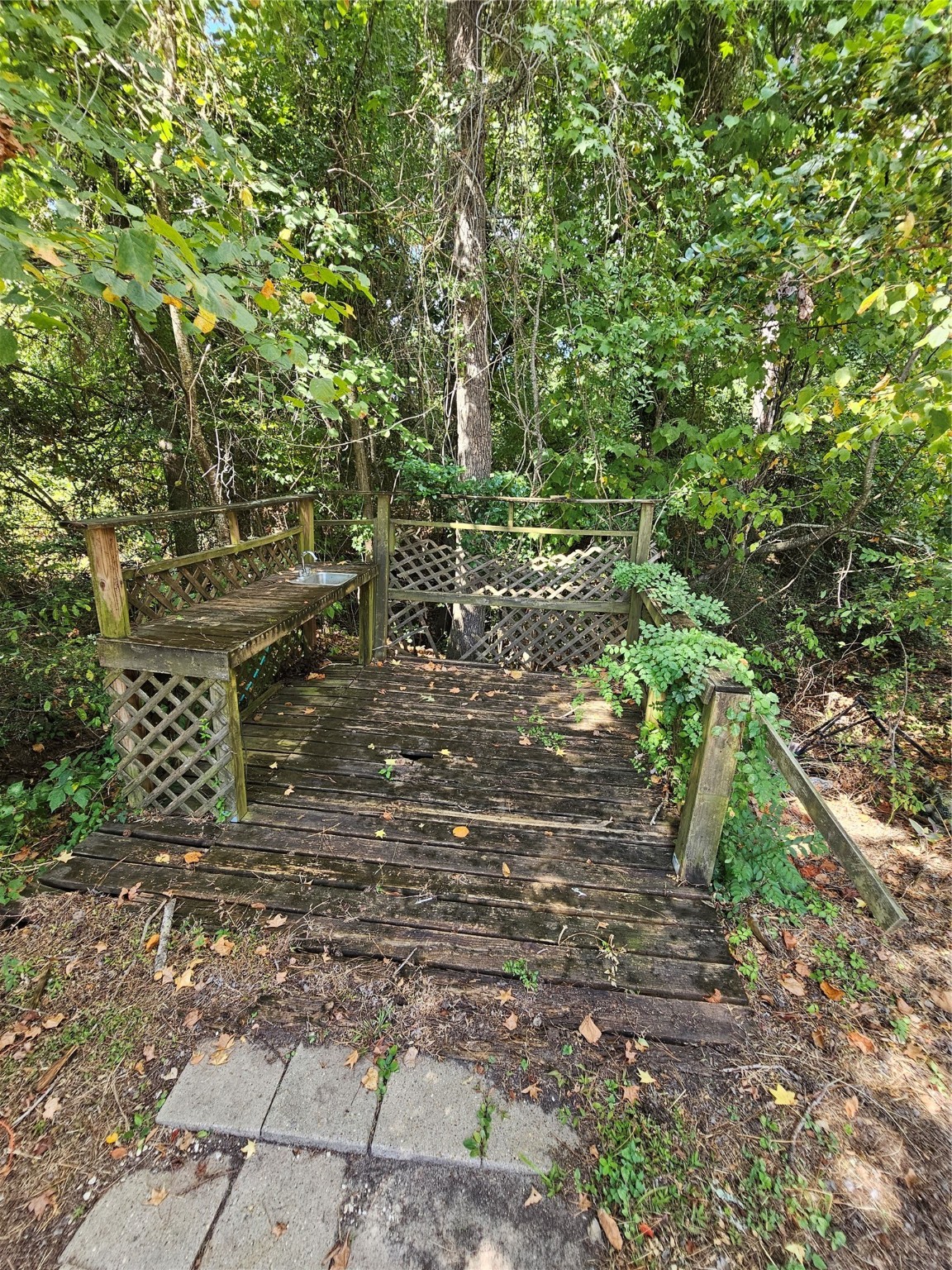 0 Roatan Drive Point Blank, TX 77364 - Photo 9 of 26 a view of a yard with plants and large trees