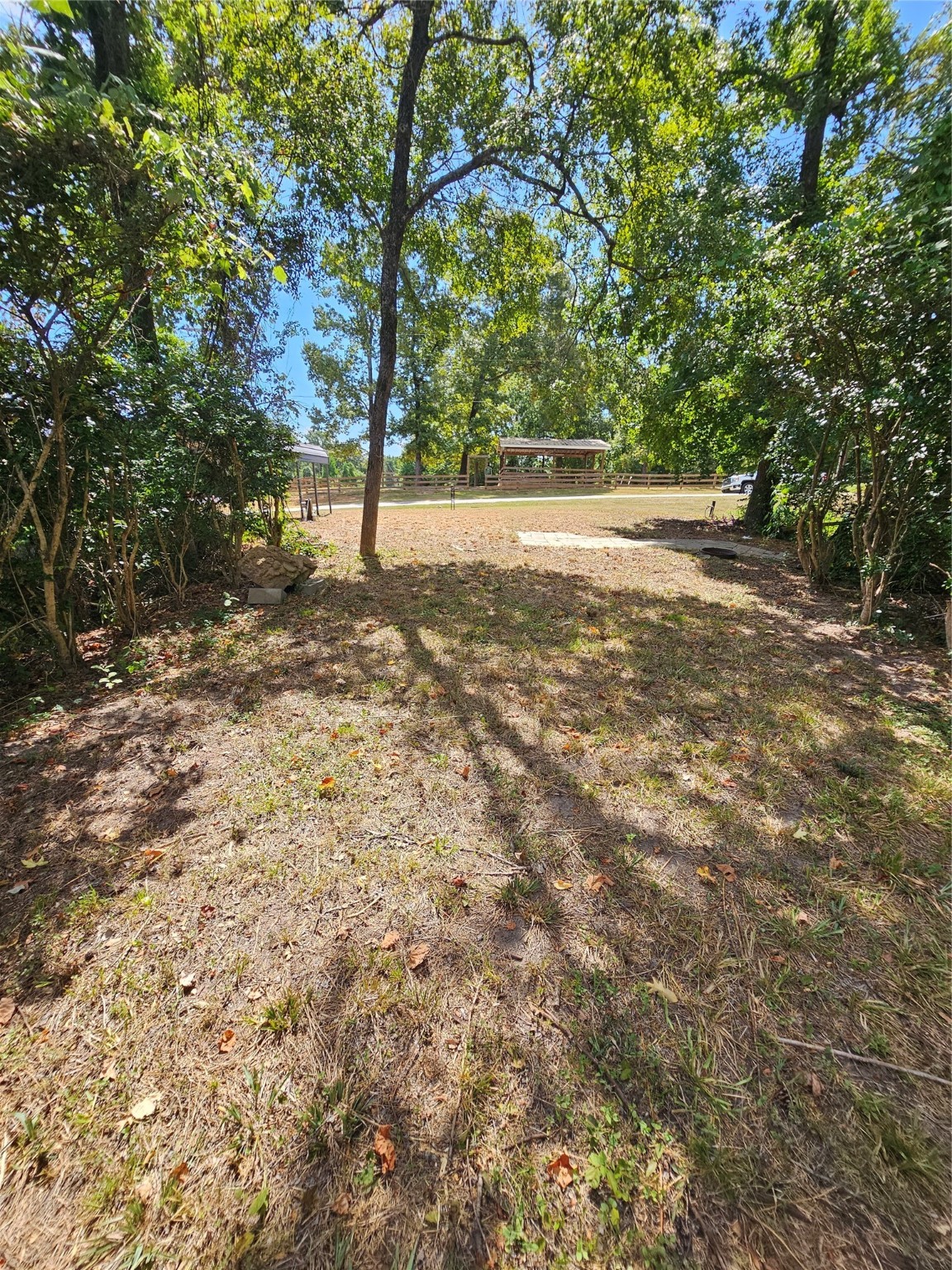 0 Roatan Drive Point Blank, TX 77364 - Photo 10 of 26 a view of a yard with a tree