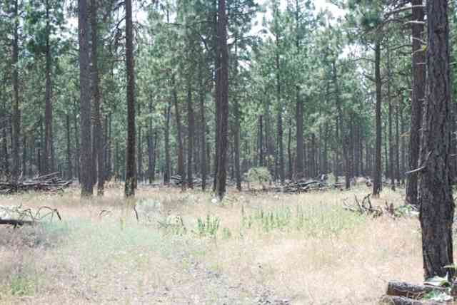 0 South Culver Road Cheney, WA 99004 - Photo 3 of 6
