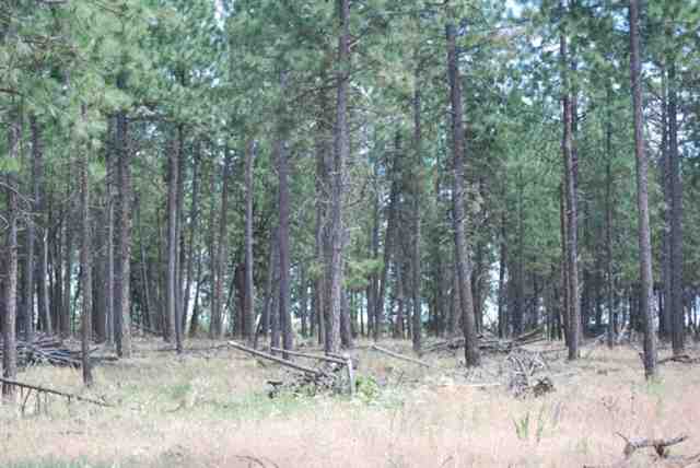 0 South Culver Road Cheney, WA 99004 - Photo 5 of 6
