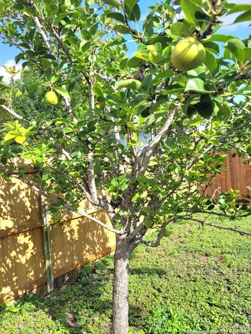 $195,000 | 11419 Blue Mesa Drive, San Antonio, TX 78245