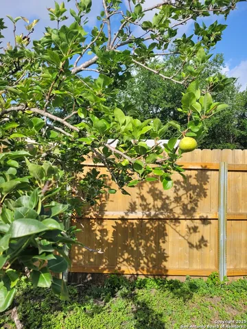 $195,000 | 11419 Blue Mesa Drive, San Antonio, TX 78245