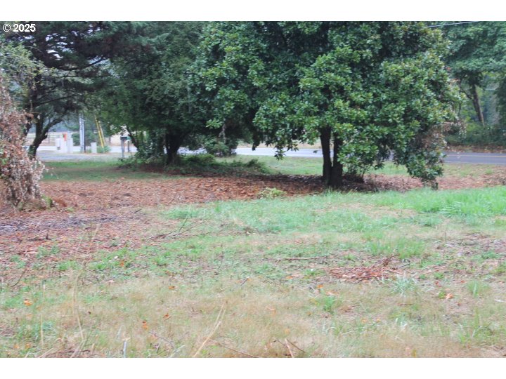 21620 Glaze Road Veneta, OR 97487 - Photo 21 of 36 a view of a yard with a tree