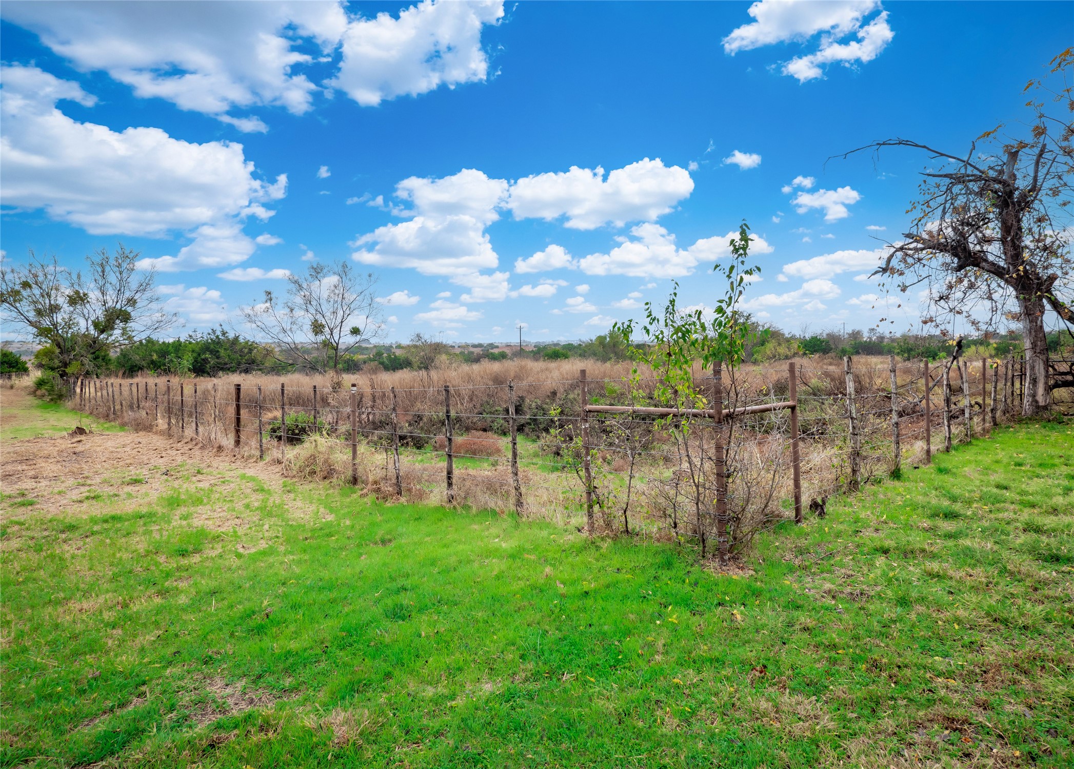 1350 County Road 414 Hamilton, TX 76531 - Photo 39 of 40 a view of a garden with an tree