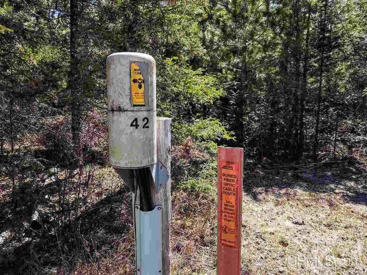Tbd Forest Hwy 16 Road Iron River, MI 49935 - Photo 9 of 49