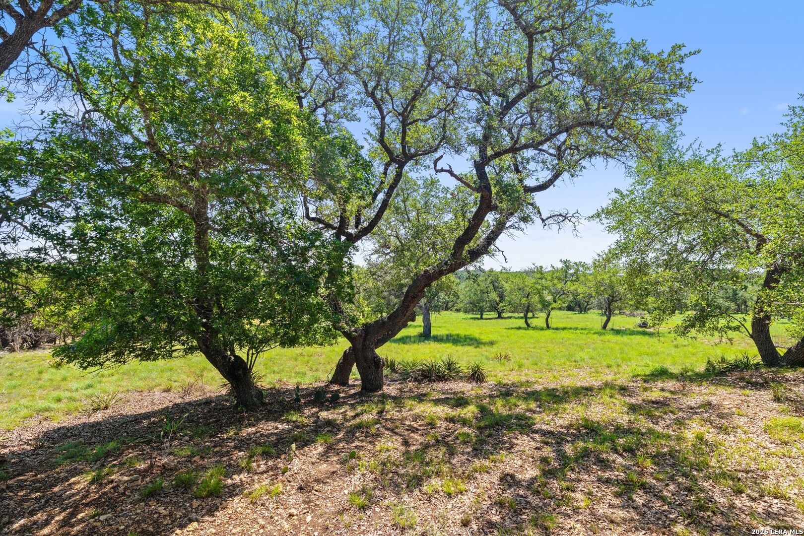 7855 Middle Creek Road Blanco, TX 78606 - Photo 48 of 57 Gallery Image 48