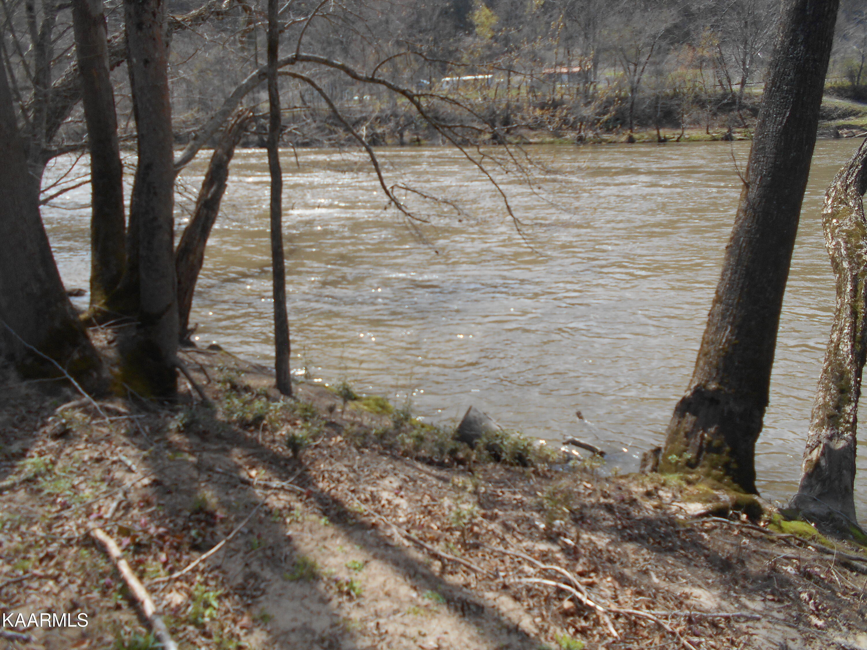 Lot 36 River Crest Way Del Rio, TN 37727 - Photo 8 of 22 DSCN4358