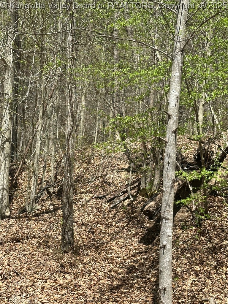 Lot #2 Sugartree Road Yawkey, WV 25573 - Photo 4 of 5 Gallery Image 4