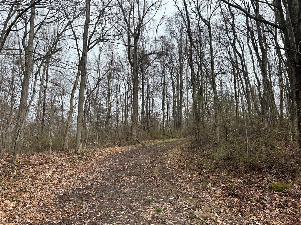 Wilbur Bush Road Crooksville, OH 43731 - Photo 2 of 19