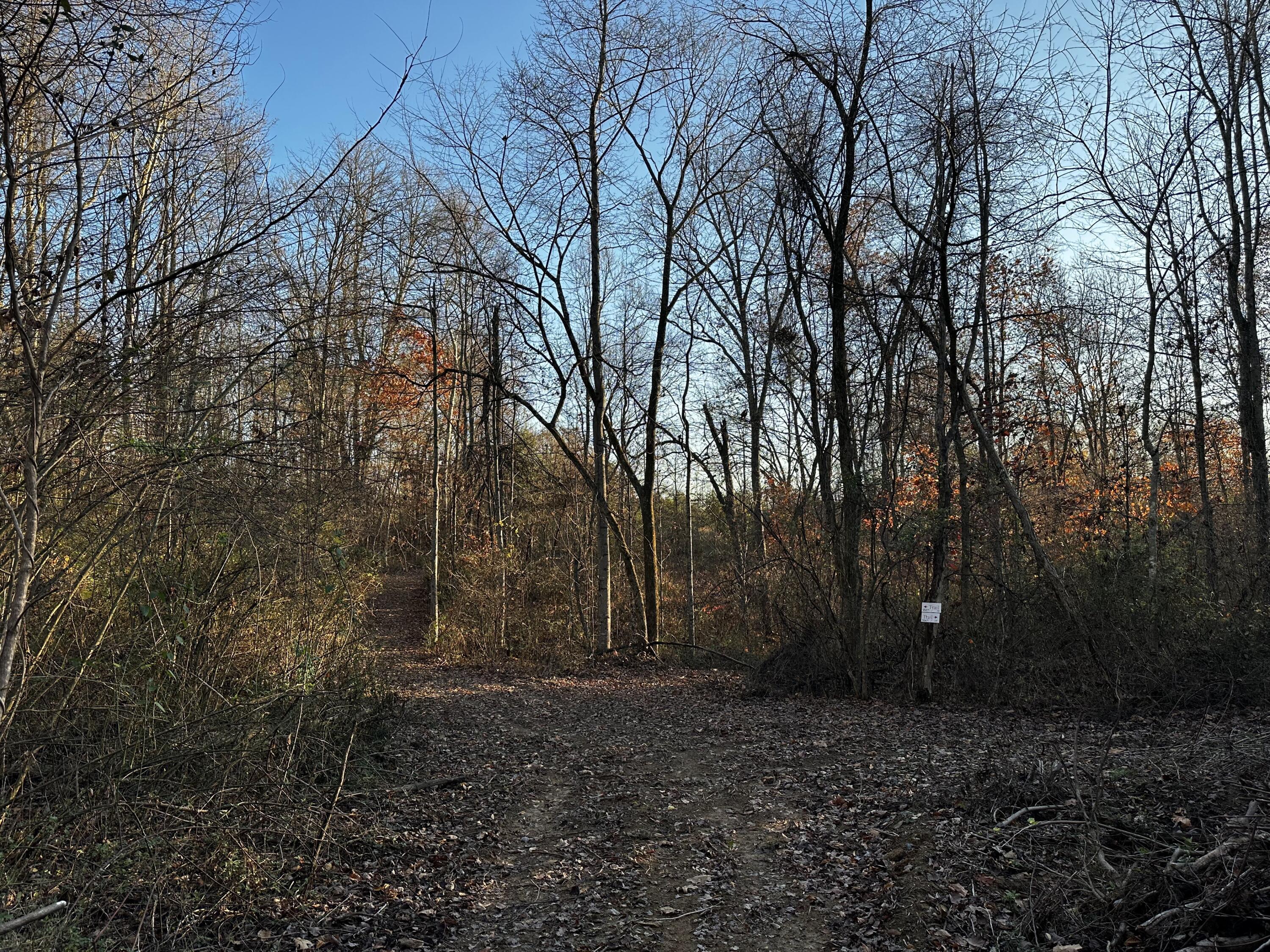 7342 Dutch Ridge Road, Unit TRACT 1 AT DUTCH RIDGE) New Straitsville, OH 43766 - Photo 24 of 45 20241111_212444253_iOS