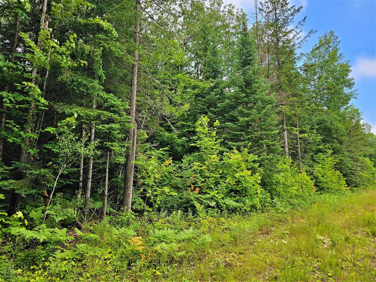 Lot 2-off Lot 2-off Gerry Road Hurley, WI 54534 - Photo 1 of 12 Gallery Image 1