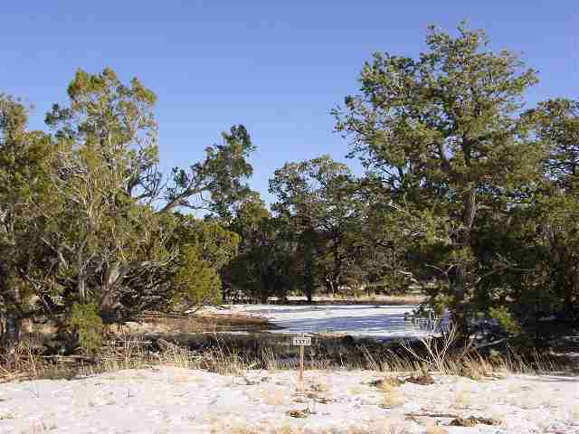 137 Aqua Fria Loop Quemado, NM 87829 - Photo 1 of 1