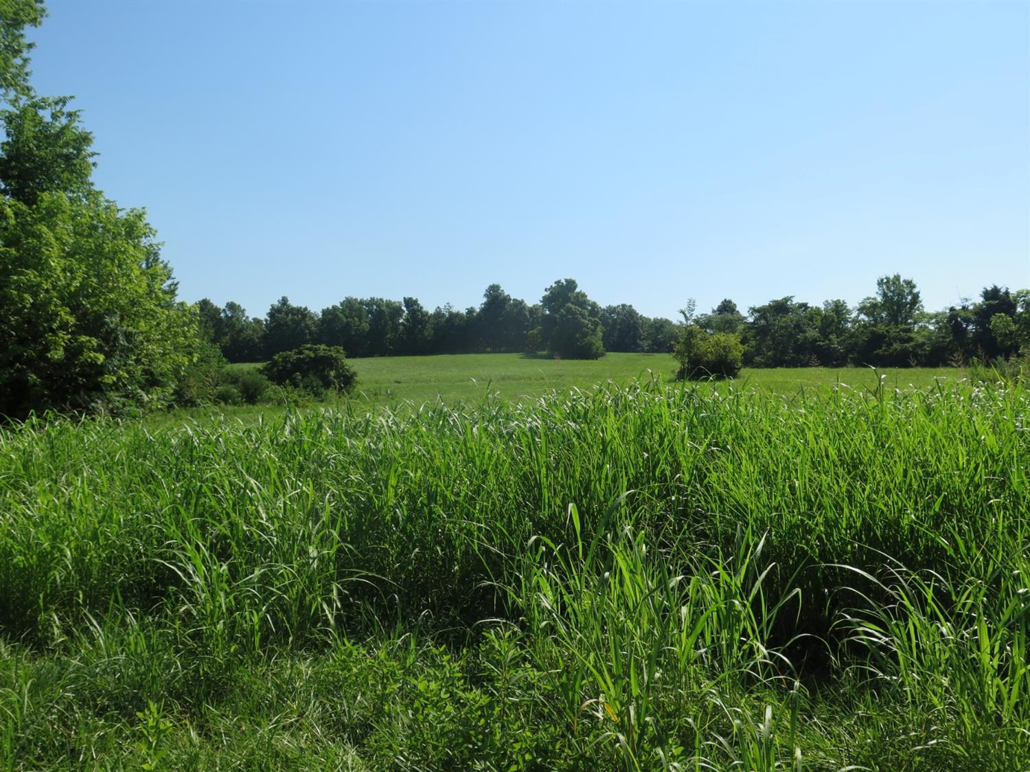 1 North Lang Road Berry, KY 41003 - Photo 9 of 17 Photo 9