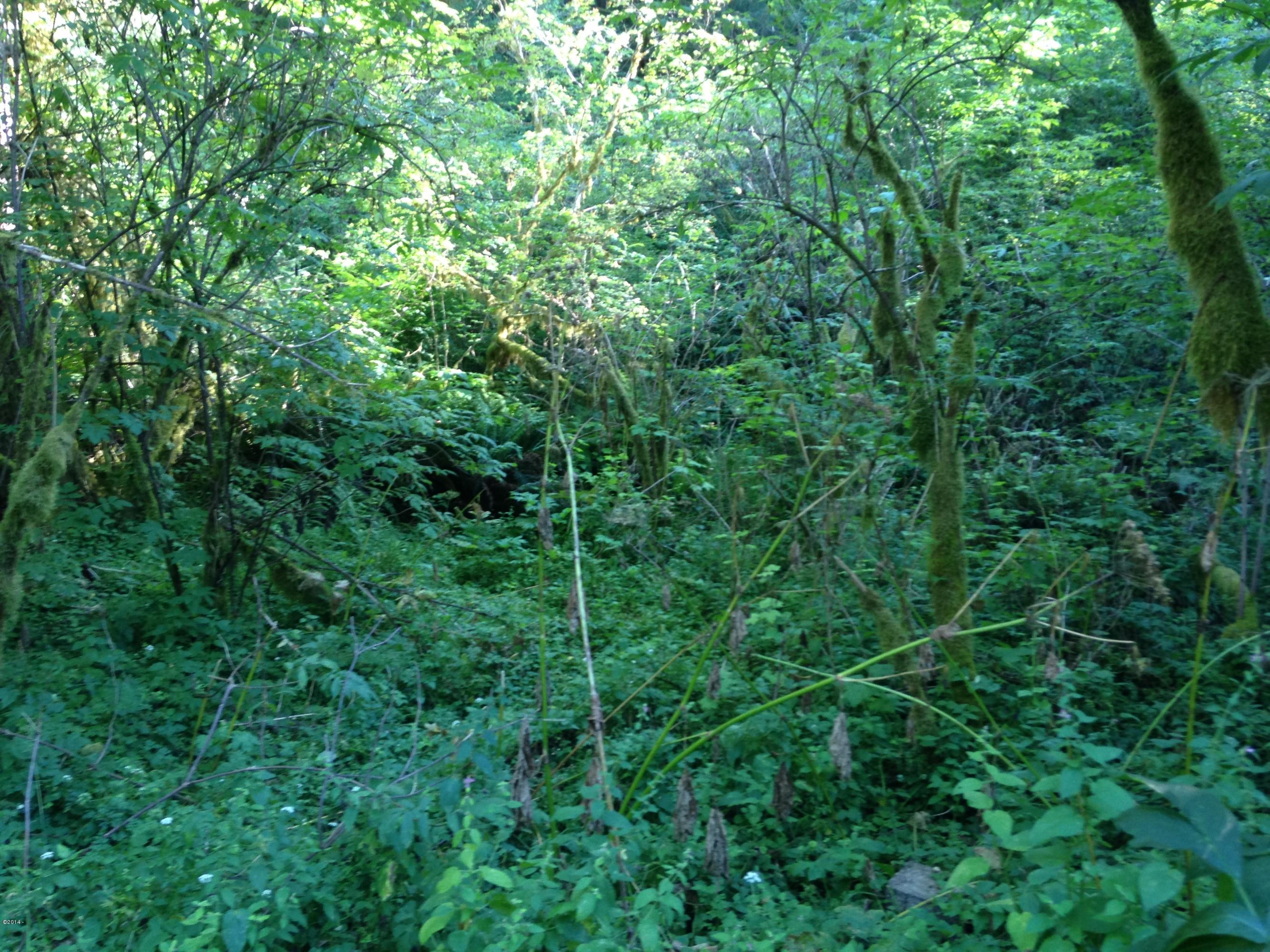 102 North Timber Road Otis, OR 97368 - Photo 5 of 5 Forest View 2