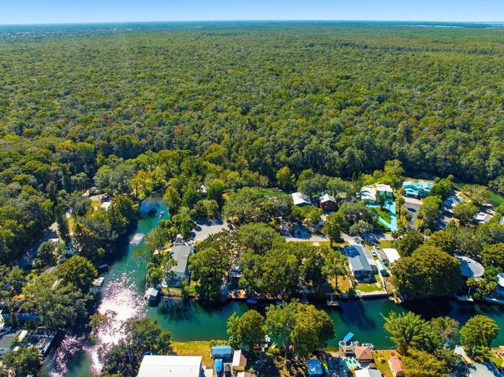 6715 West Richard Drive Weeki Wachee, FL 34607 - Photo 41 of 47 a view of a city with lots of trees