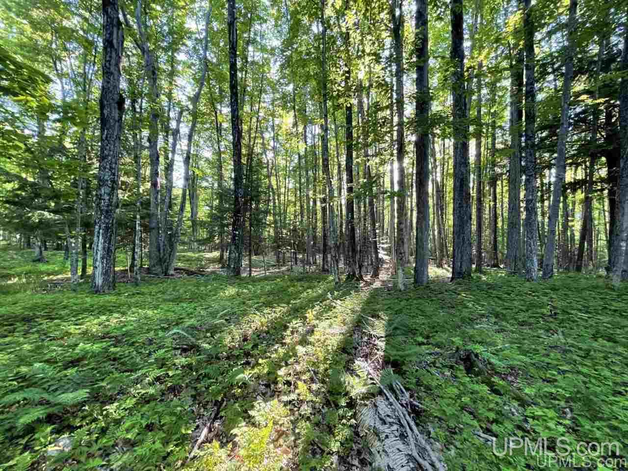 Tbd Tbd Saari Road Lanse, MI 49946 - Photo 18 of 27