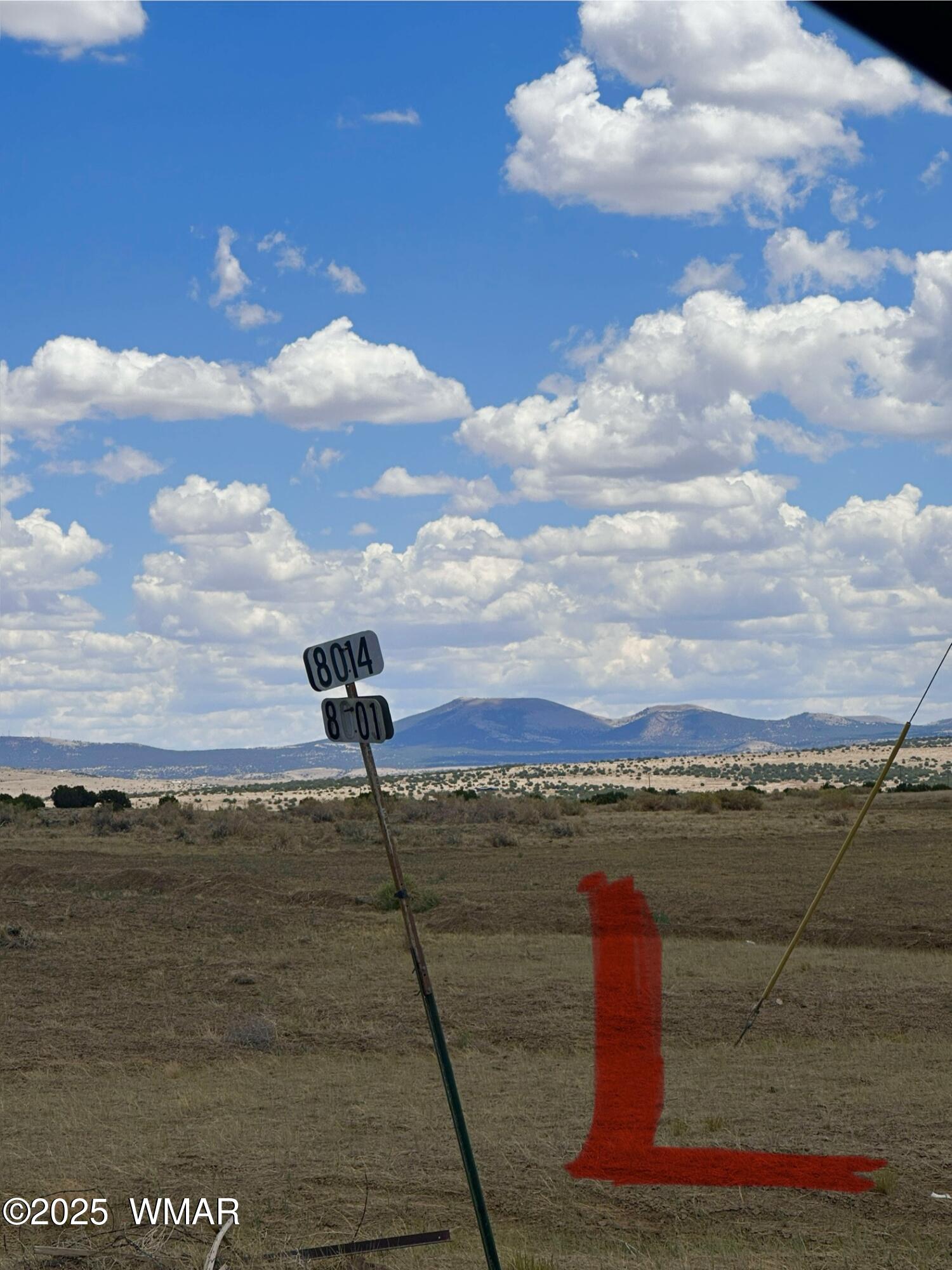 52 County Road Concho, AZ 85924 - Photo 29 of 33 LT TURN 8001
